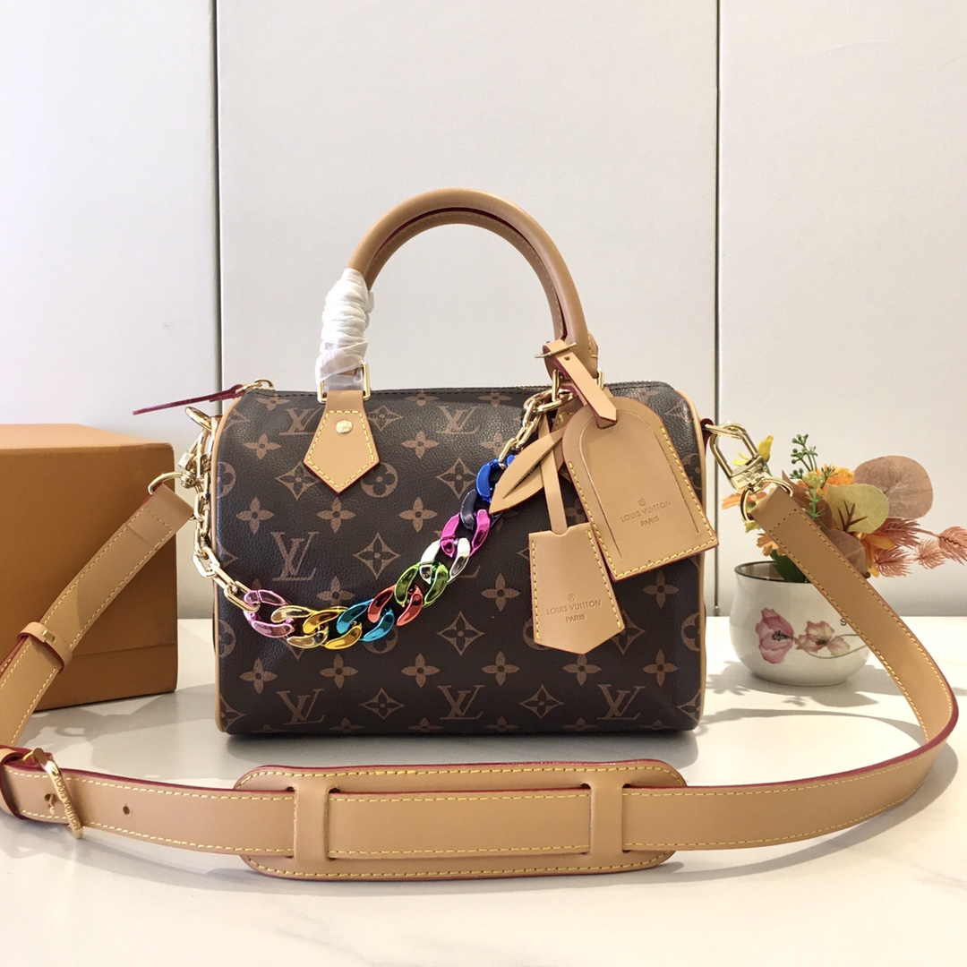 LV bag 490